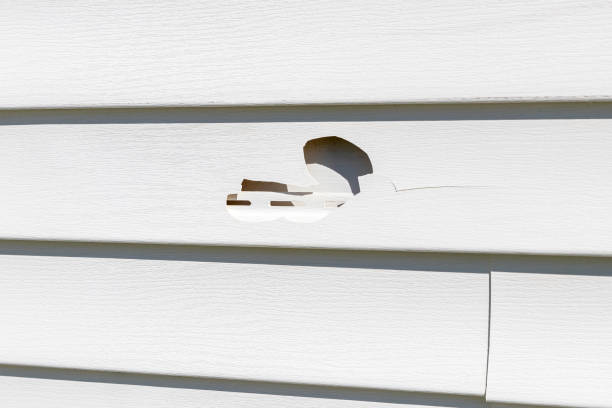 Best Fascia and Soffit Installation  in Riverside, AL